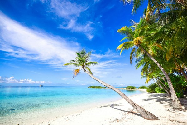 Quelles croisières offrent des ateliers de fabrication de marionnettes en Indonésie?